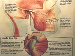 differenze tra gnatologia, ortodonzia e chirurgia maxillo facciale